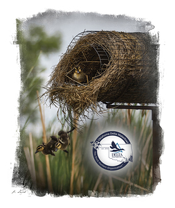 Delta Waterfowl Oklahoma 