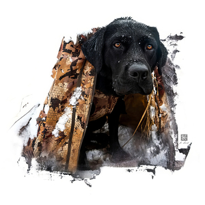 Boomer - Snow Days 