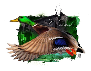 Greenhead in Flight