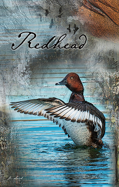 Redhead Print