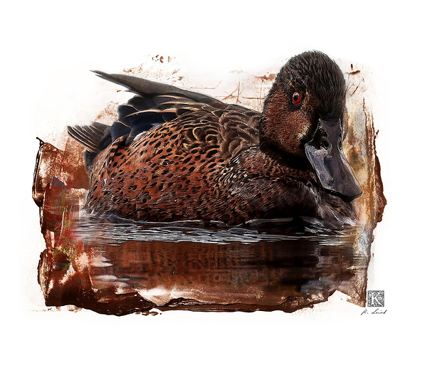 Cinnamon Teal Print