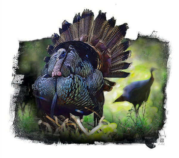 Turkey and Hen  Print