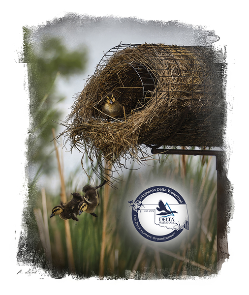 Delta Waterfowl Oklahoma  Print
