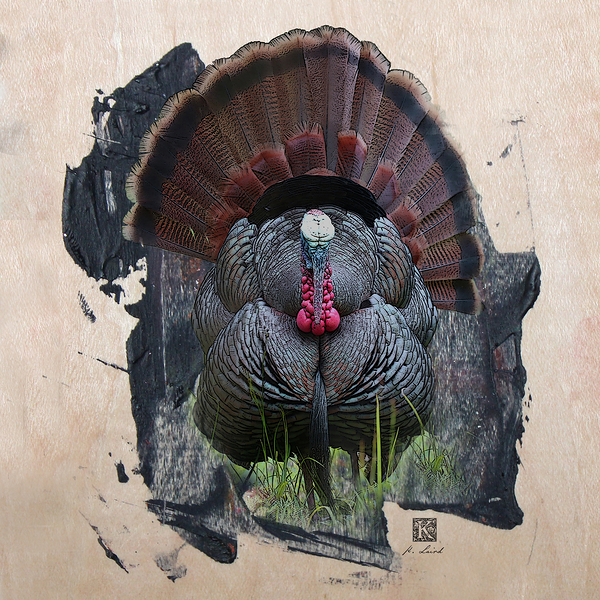 Strutter  Print