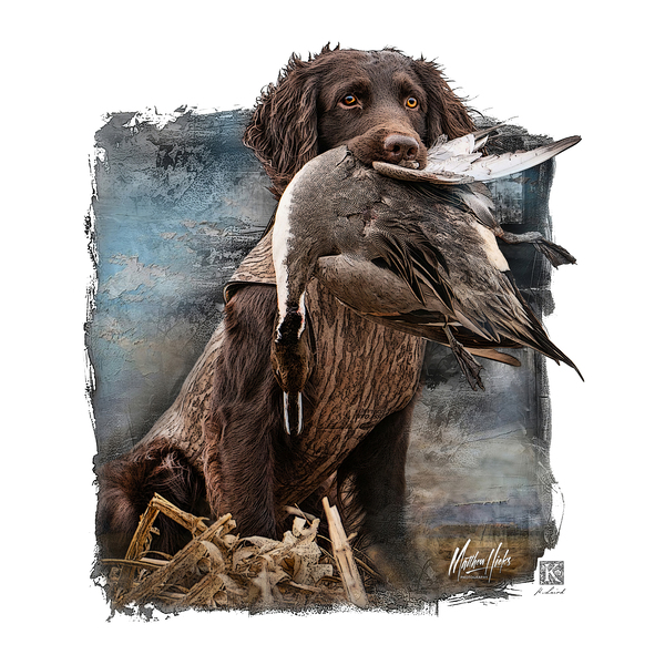 Clyde - Boykin Spaniel  Print