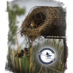 Delta Waterfowl Oklahoma 