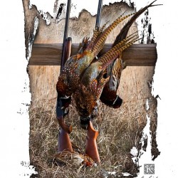 Guns and Pheasants 