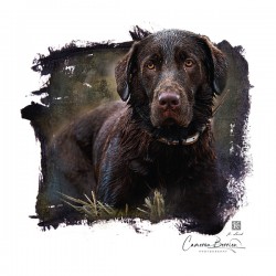 Ranger  Austin Fairchild