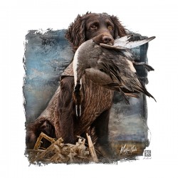 Clyde - Boykin Spaniel 