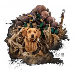 Bailey - Pretty Good Day