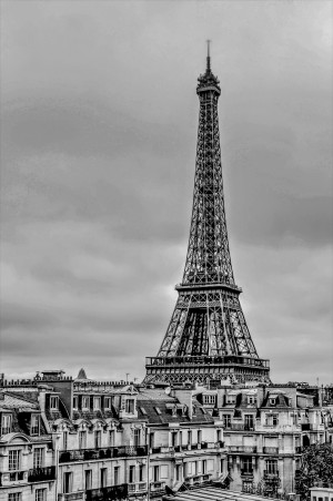 Eiffel Tower in Black and White