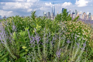 New York City from Liberty State Park