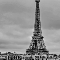 Eiffel Tower in Black and White