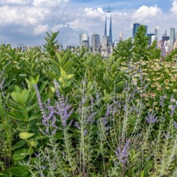 New York City from Liberty State Park