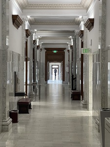 IMG 4622