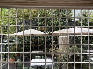 IMG 4905