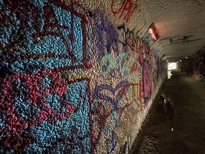 IMG 4724