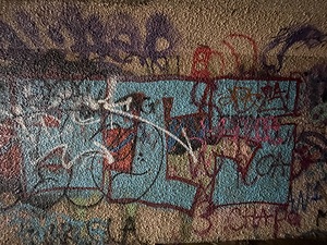 IMG 4723