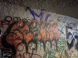 IMG 4701