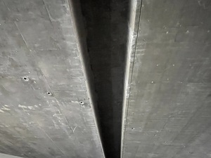IMG 4793