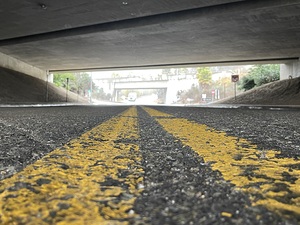 IMG 4781