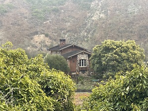 IMG 4810