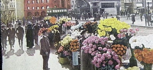 IMG 2737 Print