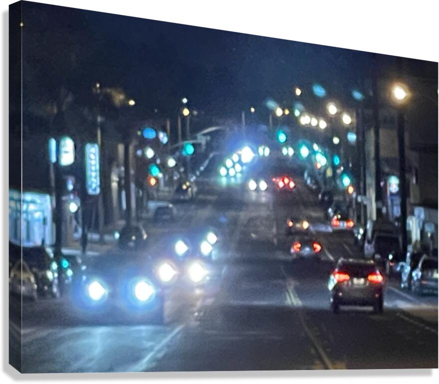 IMG 2426 Canvas Print