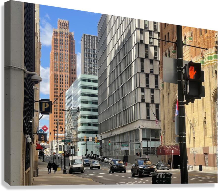 IMG 3771 Canvas Print