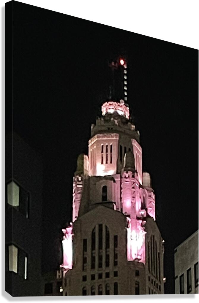 IMG 8421 Canvas Print