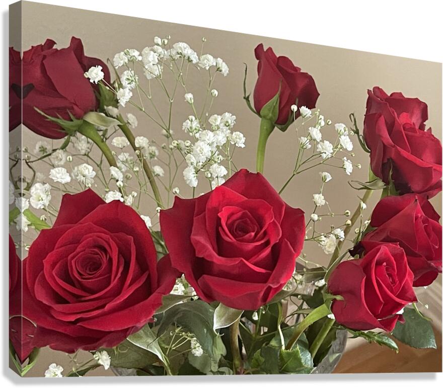 IMG 5289 Canvas Print