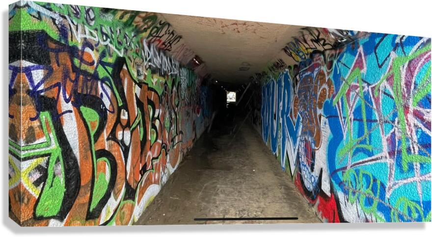 IMG 4933 Canvas Print