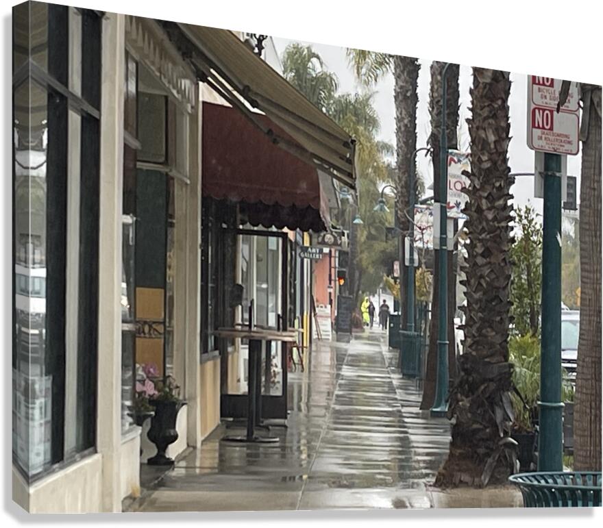 IMG 4839 Canvas Print