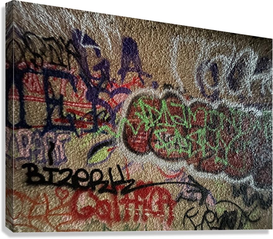 IMG 4745 Canvas Print