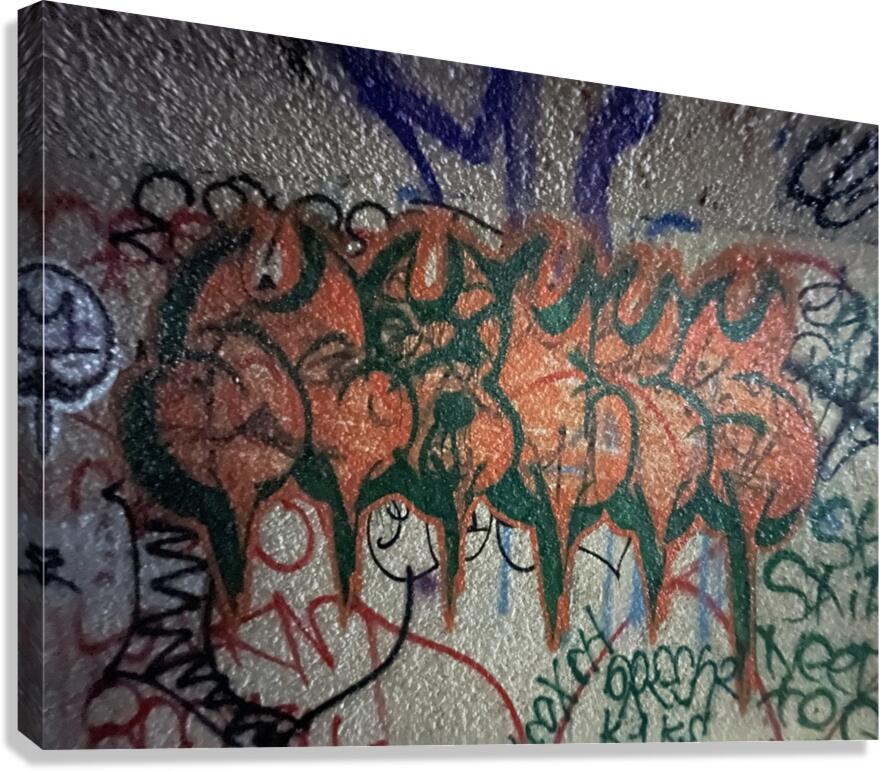 IMG 4748 Canvas Print