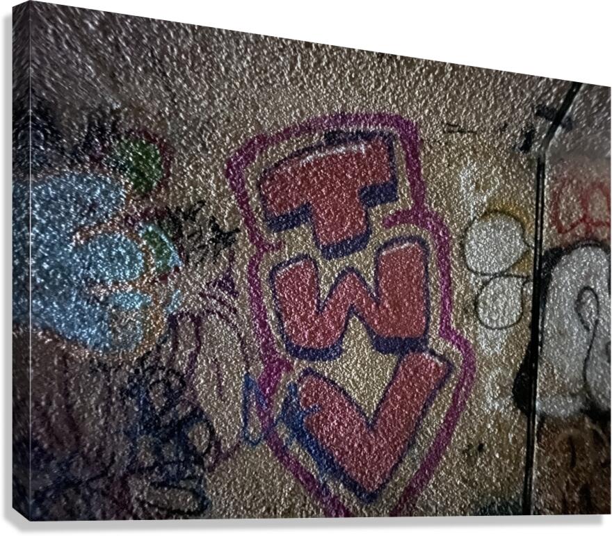 IMG 4714 Canvas Print