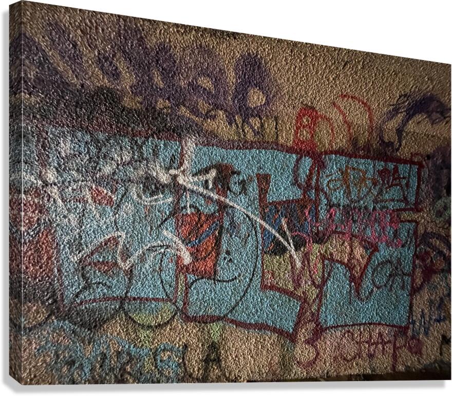 IMG 4723 Canvas Print