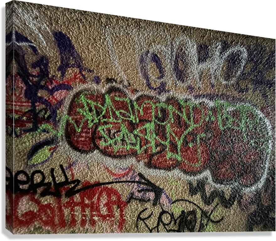 IMG 4726 Canvas Print