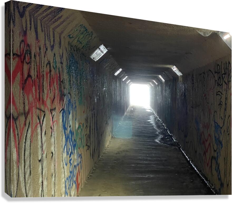 IMG 4689 Canvas Print