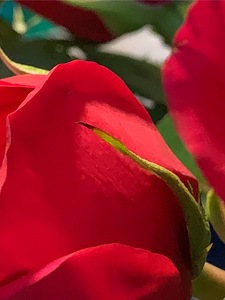 IMG 0421