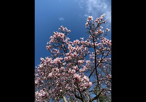 IMG 0911
