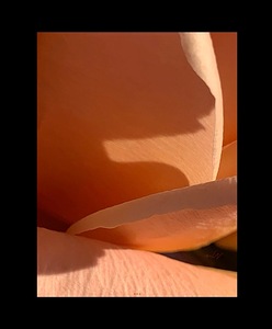 IMG 0273