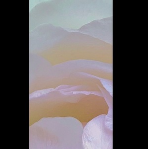 IMG 9202