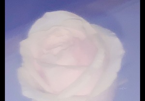 IMG 0072