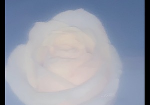 IMG 0068