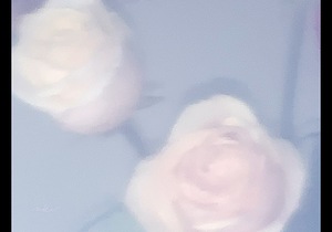 IMG 0064