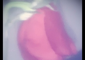 IMG 0062