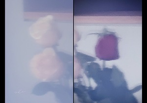 IMG 0060