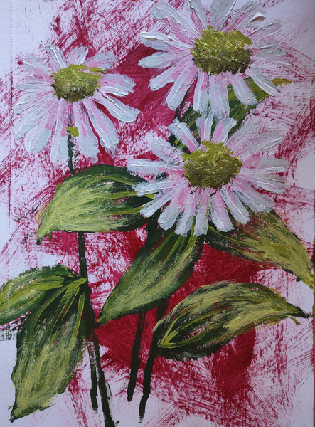 Daisies by Alexis Chontos