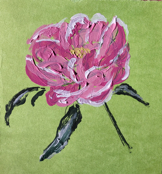 Pink Rose by Alexis Chontos